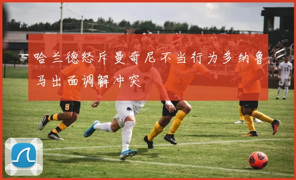 哈兰德怒斥曼奇尼不当行为多纳鲁马出面调解冲突